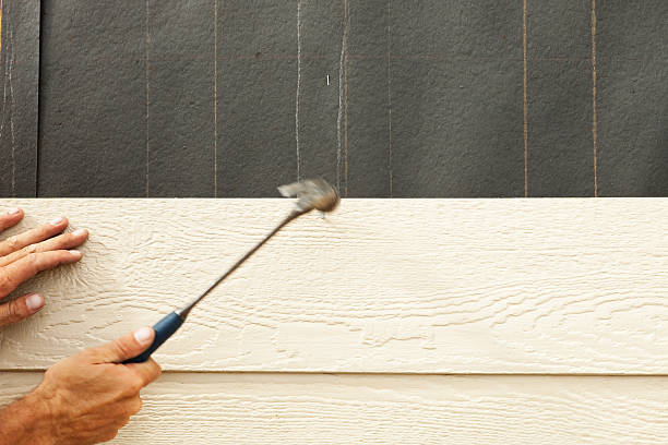 Best Steel Siding Installation  in San Pablo, NM